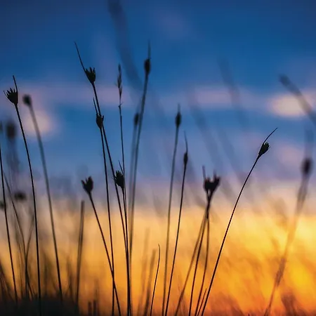 Сasa de vacaciones Curta *