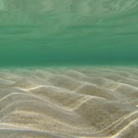 Σπίτι διακοπών Curta Privlaka (Zadar)