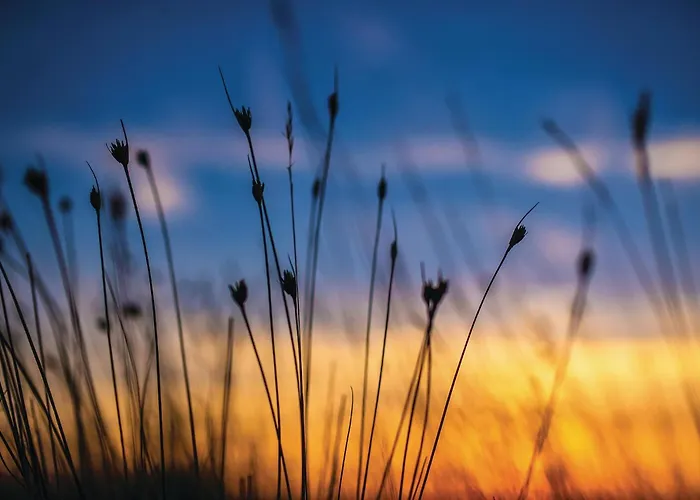 Dom wakacyjny Curta *