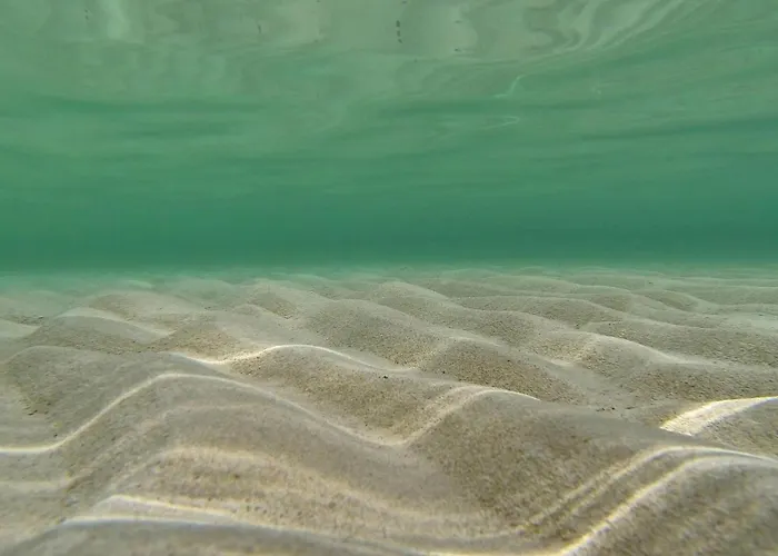 Dom wakacyjny Curta Privlaka (Zadar)